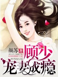 顾少宠妻成瘾