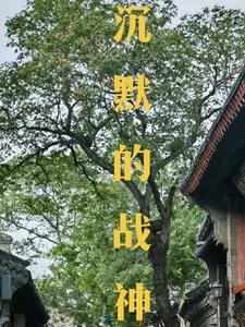 沉默的战神