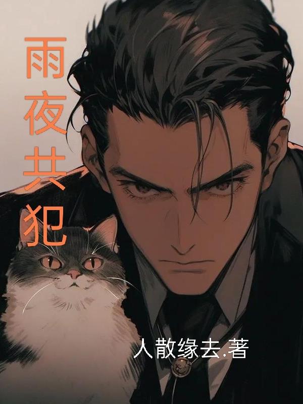 雨夜共犯